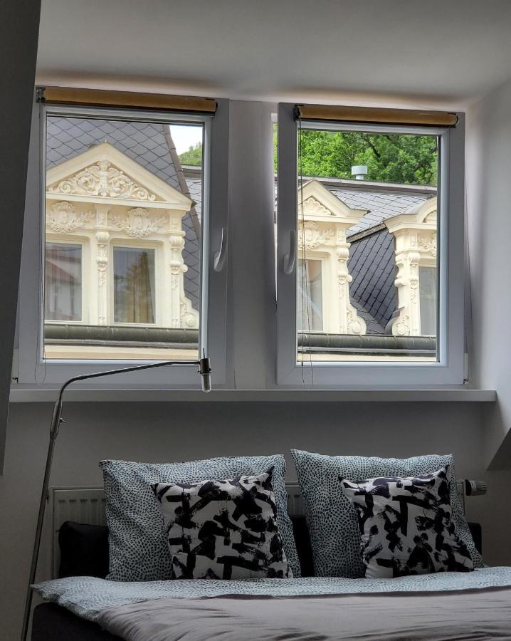 Excellent Apartments Central 3 Min Walk From The Colonnade Карлови Вари Екстериор снимка
